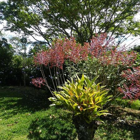 El Paraiso Verde B&B อเตนาส ภายนอก รูปภาพ