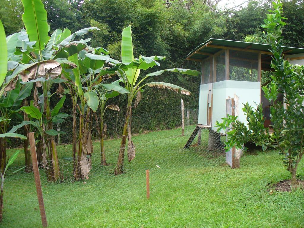 El Paraiso Verde B&B อเตนาส ภายนอก รูปภาพ