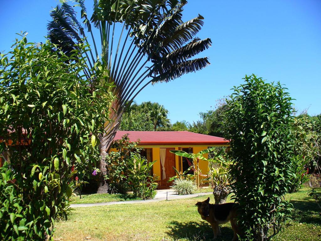 El Paraiso Verde B&B อเตนาส ห้อง รูปภาพ